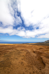 Fototapeta na wymiar krzak Timanfaya wulkaniczny i Lato Hiszpania lagunę