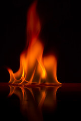 Fire flames on a  background