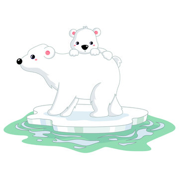 Polar Bears on Ice