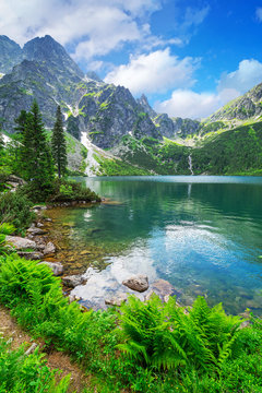 Fototapeta Oko jeziora Morza w Tatrach, Polska