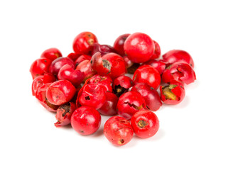 pink peppercorn isolated on white