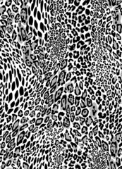 graphic leopard
