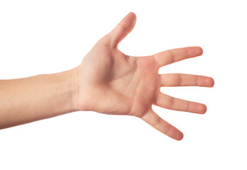 Five fingers isolated