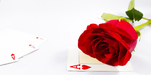 Rose and Card