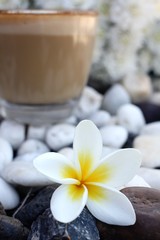 Cup with hot cappuccino