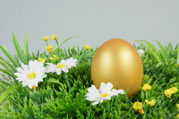 egg on a green artificial grass with white flowers