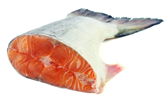 Fresh salmon on a white background. Salmon tail