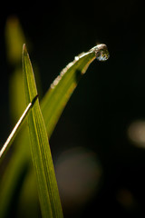 Closeup of waterdrops