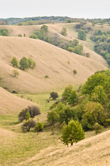 Valley between small hills covered with yellow grass