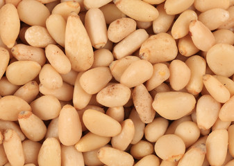 Bunch of pine nuts.