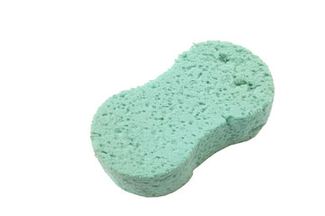 sponge