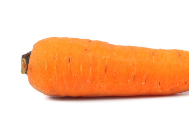 Fresh carrot