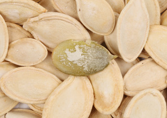 Close-up of pumpkin seeds