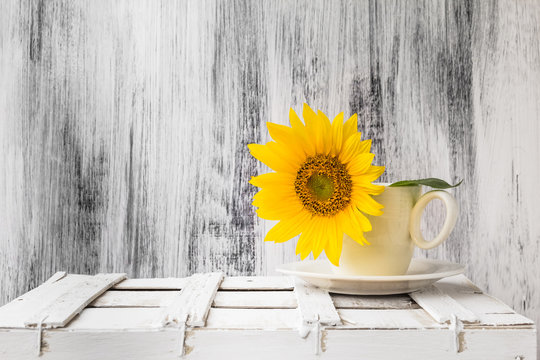 background still life flower sunflower wooden white vintage cup