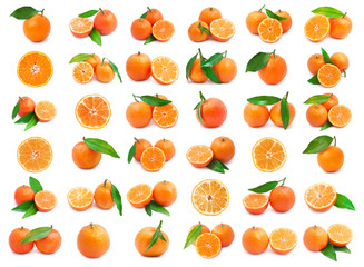 Mandarins