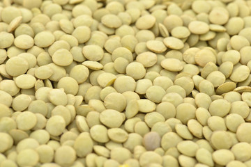 yellow lentils grain