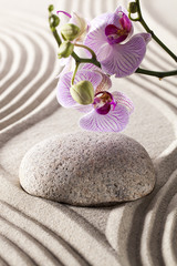 Fototapeta na wymiar ambiance for spa and massage with zen design