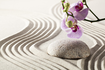 still-life for zen sensuality and harmony