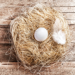Easter nest with White Egg and feather on wooden background with