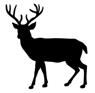 reindeer silhouette template