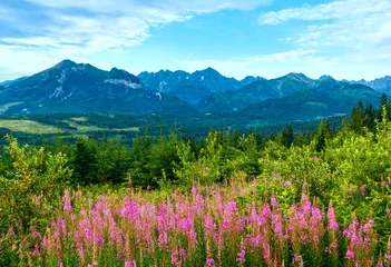 Crédence de cuisine en verre imprimé Été Summer morning mountain landscape with pink flowers  (Poland)