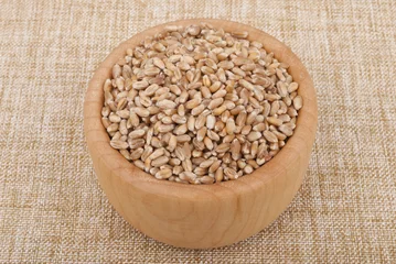 Fototapeten Wheat grains in a plate. © dibas99