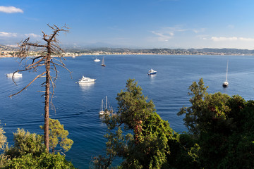 Fototapeta na wymiar Coastline on the French Riviera