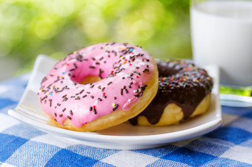 Fresh donuts and glass of milk on nature background