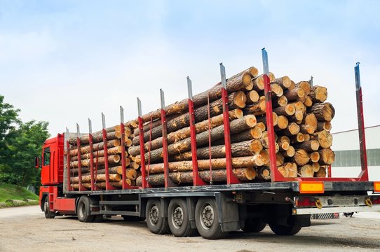 LKW, Holztransport