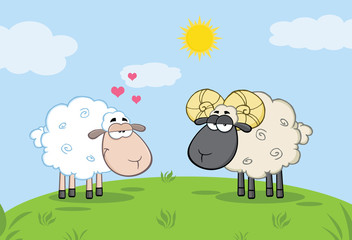 Obraz na płótnie Canvas White Sheep In Love With Ram Sheep On A Meadow
