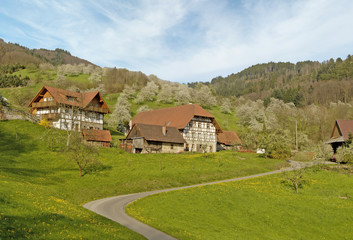 Fototapeta premium Schwarzwalddorf im Frühling