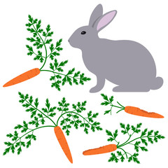 Rabbit with gnawed carrots