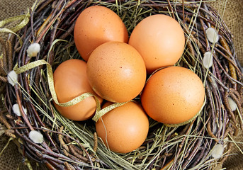 Bird eggs in nest.
