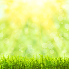 Fototapeta na wymiar Green grass over sunlight