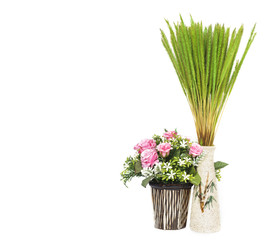 Vase and Flower