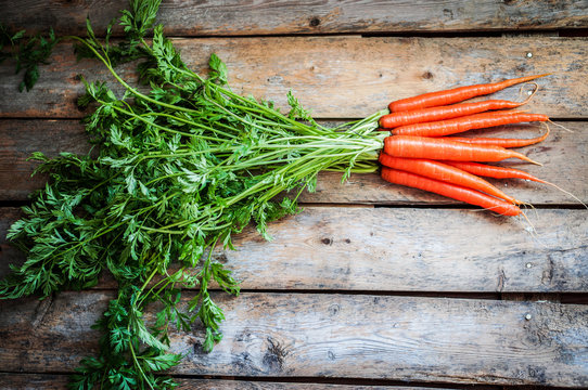 Farm raised organic carrots on wooden background