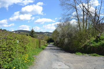 Wandelen in de Eifel
