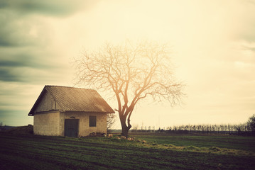 Fototapeta premium Lonely old house