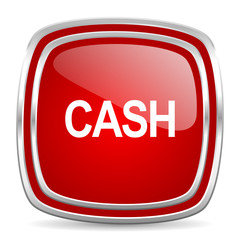 cash icon