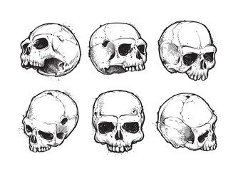 Hand-drawn skulls