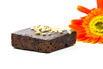 Frosted chocolate brownie on white background
