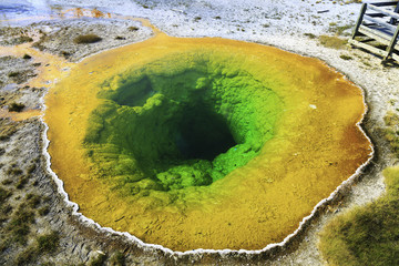 Morning Glory Pool in Yellowstone National Park