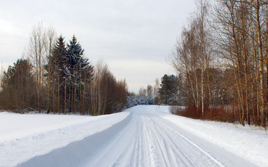 Obraz premium Winter forest with snow road
