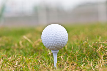 Close up golf ball on  course