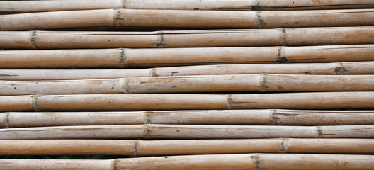 Bamboo wall background