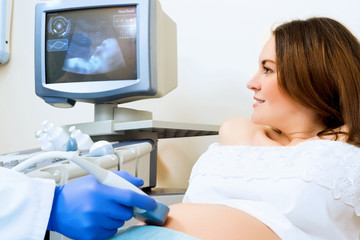 Fototapeta premium pregnant woman on reception at the doctor