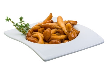 Armillaria