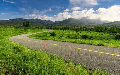 Beautiful countryside road in green field under blue sky