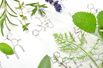 herbs and science
