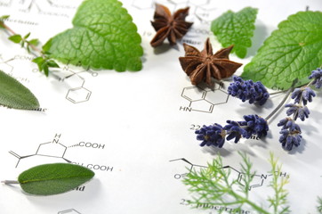 herbs and science